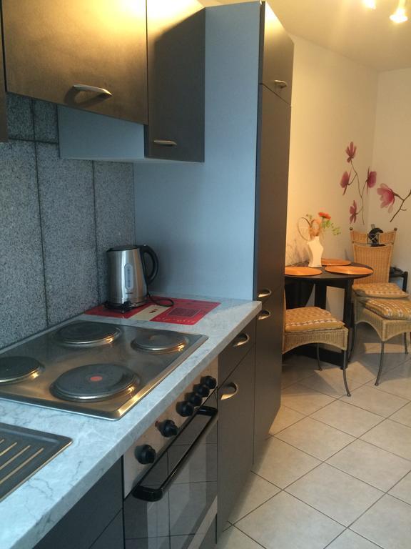Anton-Ulrich Apartment マイニンゲン エクステリア 写真